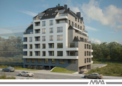 IMG-1
